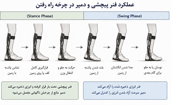 طراحی مکانیزم ترکیبی فنر پیچشی و دمپر در ارتز قوزک پا