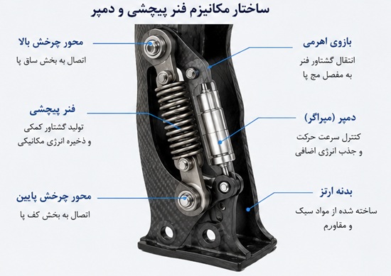 شبیهسازی سهبعدی ارتز شبیهسازی سهبعدی ارتز